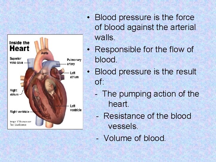 • Blood pressure is the force of blood against the arterial walls. • • Blood pressure is the force of blood against the arterial walls. •