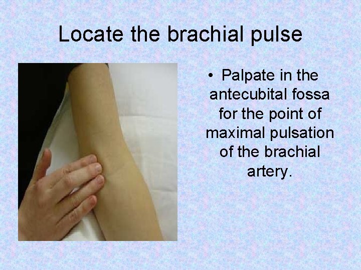 Locate the brachial pulse • Palpate in the antecubital fossa for the point of Locate the brachial pulse • Palpate in the antecubital fossa for the point of