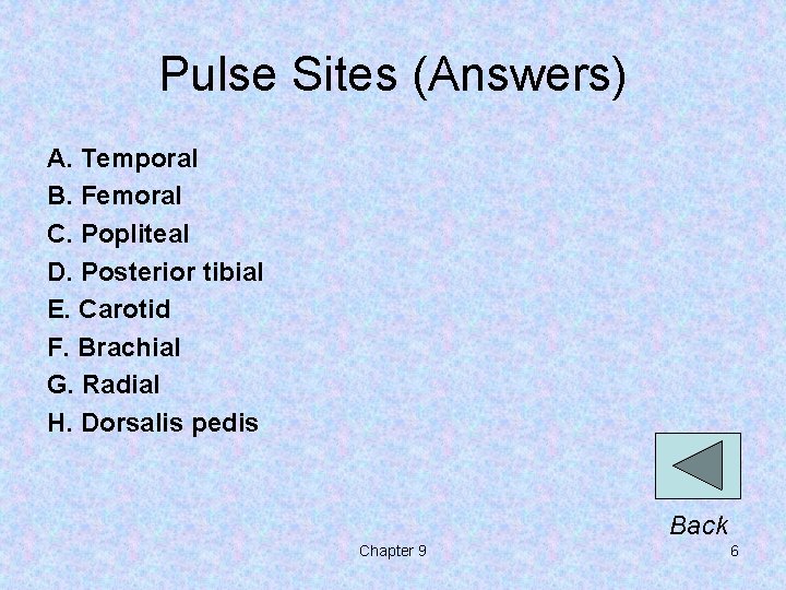 Pulse Sites (Answers) A. Temporal B. Femoral C. Popliteal D. Posterior tibial E. Carotid Pulse Sites (Answers) A. Temporal B. Femoral C. Popliteal D. Posterior tibial E. Carotid