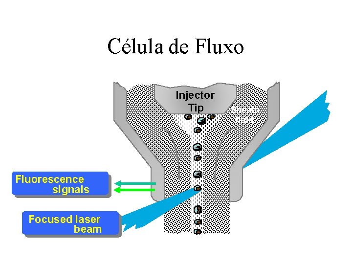 Célula de Fluxo Injector Tip Fluorescence signals Focused laser beam Sheath fluid 
