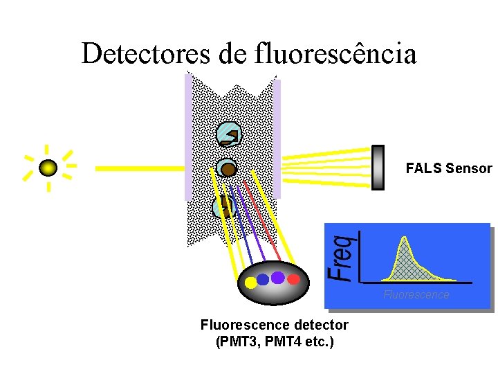 Detectores de fluorescência FALS Sensor Fluorescence detector (PMT 3, PMT 4 etc. ) 