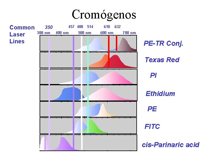 Cromógenos Common Laser Lines 350 300 nm 457 488 400 nm 514 500 nm