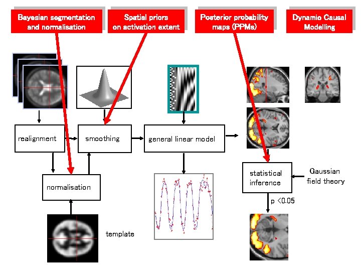 Bayesian segmentation and normalisation realignment Spatial priors on activation extent smoothing Posterior probability maps