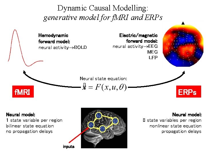 Dynamic Causal Modelling: generative model for f. MRI and ERPs Hemodynamic forward model: neural