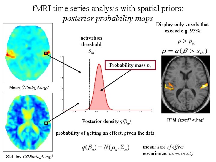 f. MRI time series analysis with spatial priors: posterior probability maps Display only voxels