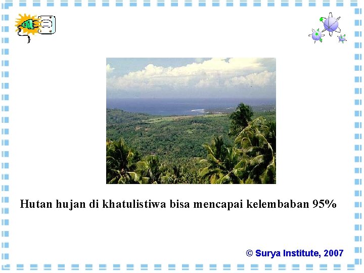 Hutan hujan di khatulistiwa bisa mencapai kelembaban 95% © Surya Institute, 2007 