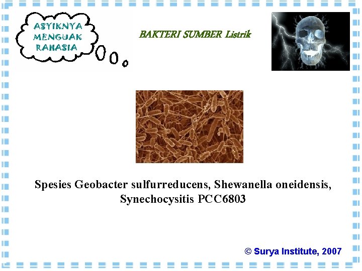 BAKTERI SUMBER Listrik Spesies Geobacter sulfurreducens, Shewanella oneidensis, Synechocysitis PCC 6803 © Surya Institute,