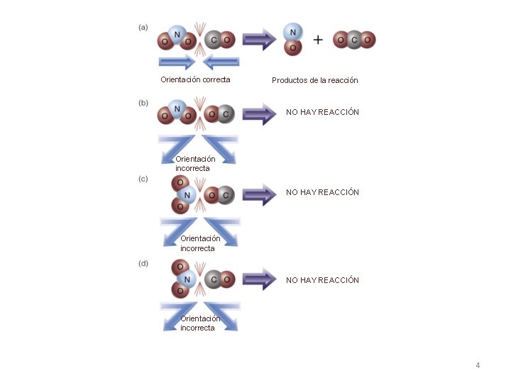 Orientación correcta Productos de la reacción NO HAY REACCIÓN Orientación incorrecta 4 