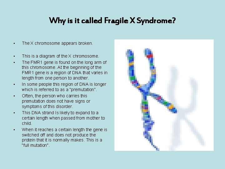 Why is it called Fragile X Syndrome? • The X chromosome appears broken. •