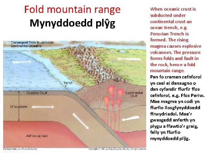 Fold mountain range Mynyddoedd plŷg When oceanic crust is subducted under continental crust an