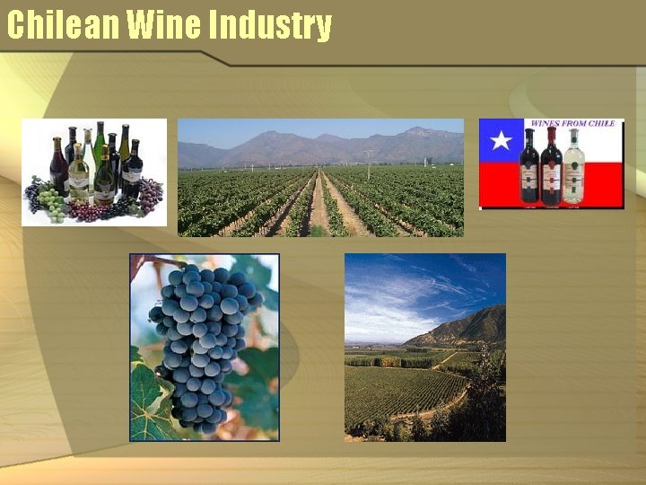 Chilean Wine Industry 