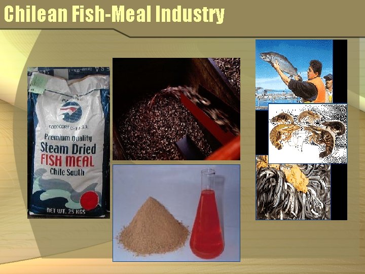 Chilean Fish-Meal Industry 
