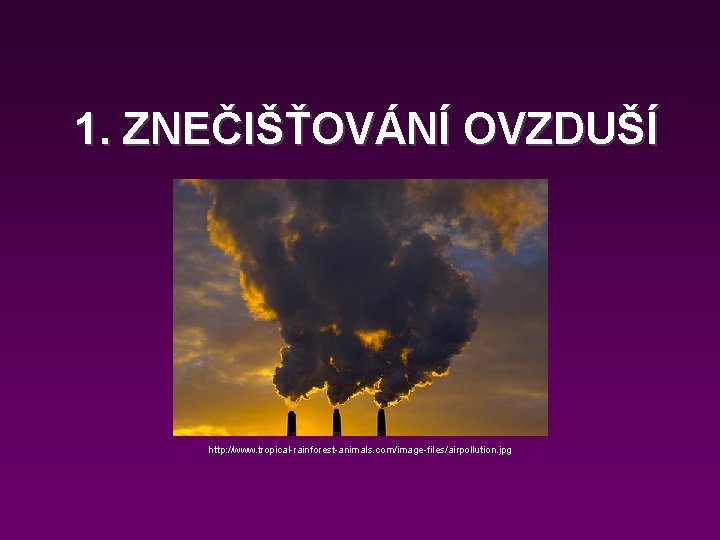 1. ZNEČIŠŤOVÁNÍ OVZDUŠÍ http: //www. tropical-rainforest-animals. com/image-files/airpollution. jpg 