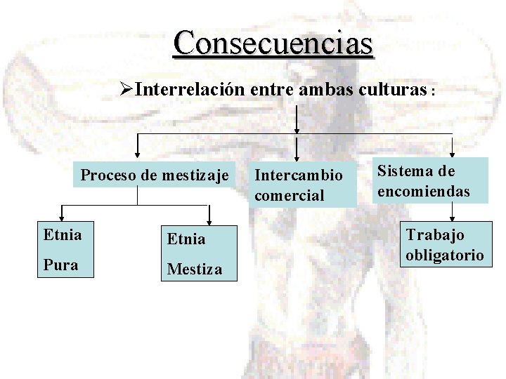 Consecuencias ØInterrelación entre ambas culturas : Proceso de mestizaje Etnia Pura Mestiza Intercambio comercial