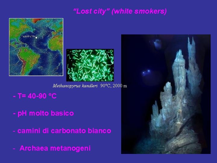 “Lost city” (white smokers) Methanopyrus kandleri 90°C, 2000 m - T= 40 -90 °C