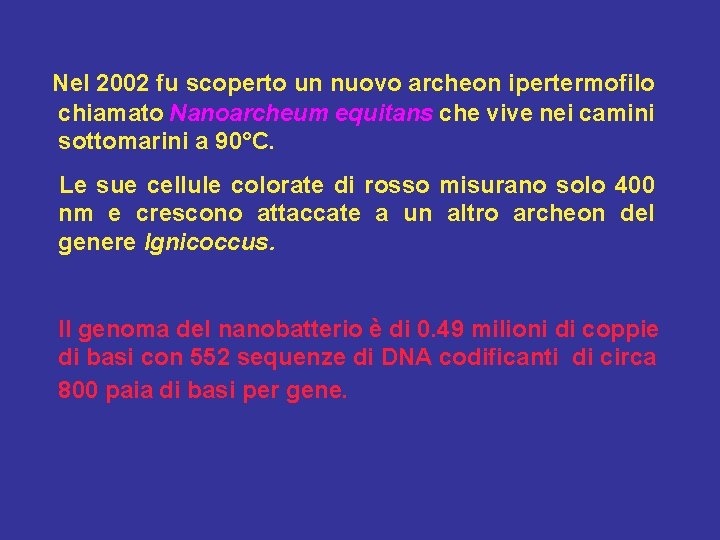 Nel 2002 fu scoperto un nuovo archeon ipertermofilo chiamato Nanoarcheum equitans che vive nei