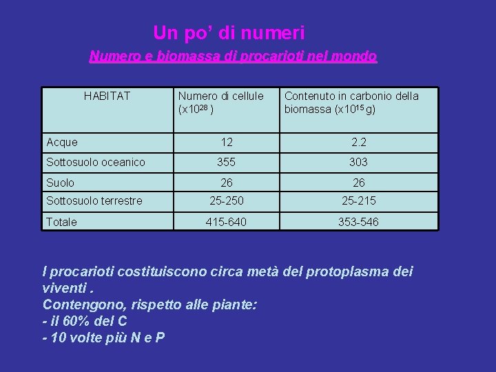 Un po’ di numeri Numero e biomassa di procarioti nel mondo HABITAT Numero di