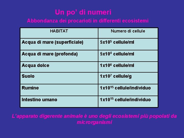 Un po’ di numeri Abbondanza dei procarioti in differenti ecosistemi HABITAT Numero di cellule