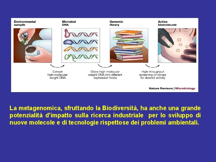 La metagenomica, sfruttando la Biodiversità, ha anche una grande potenzialità d’impatto sulla ricerca industriale