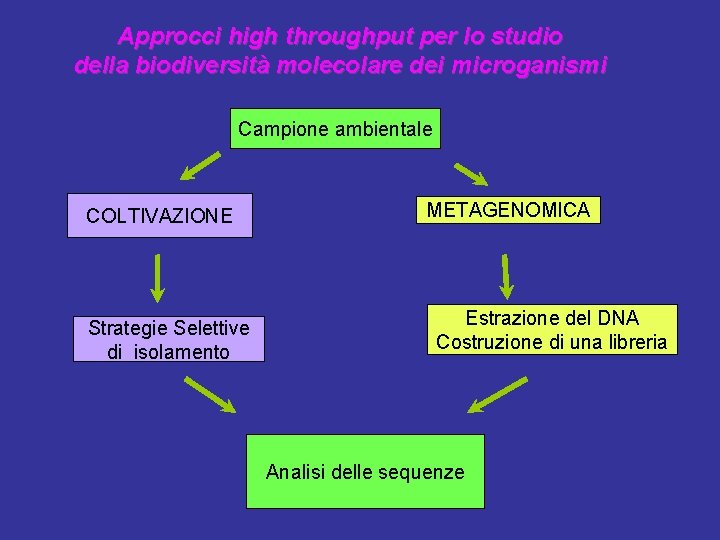 Approcci high throughput per lo studio della biodiversità molecolare dei microganismi Campione ambientale COLTIVAZIONE