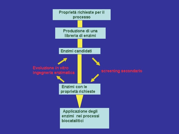 Proprietà richieste per il processo Produzione di una libreria di enzimi Enzimi candidati Evoluzione