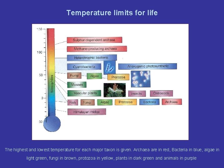 Temperature limits for life The highest and lowest temperature for each major taxon is