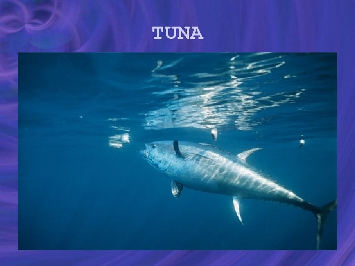 TUNA 