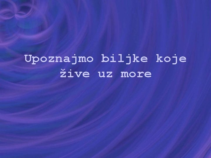 Upoznajmo biljke koje žive uz more 