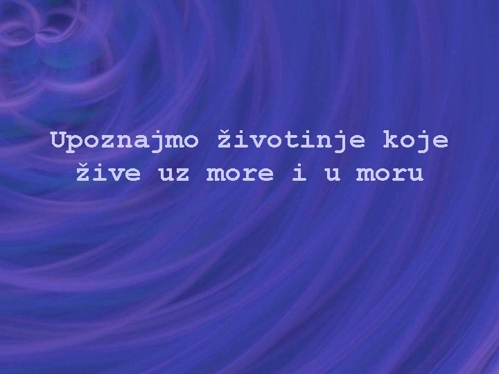 Upoznajmo životinje koje žive uz more i u moru 