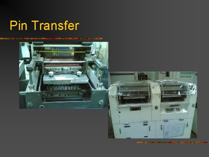 Pin Transfer Pin Transfer