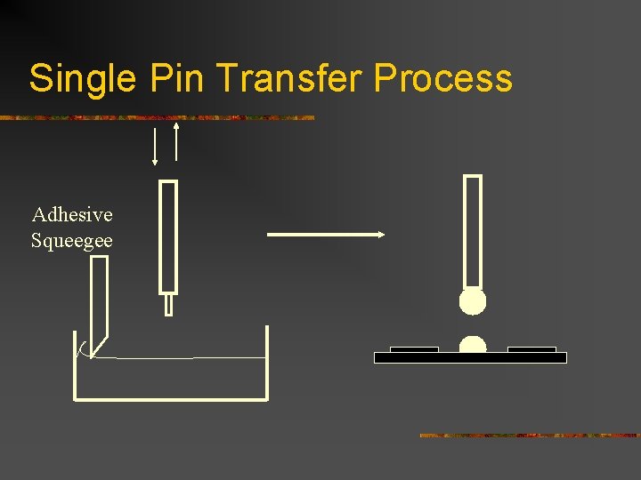 Single Pin Transfer Process Adhesive Squeegee 