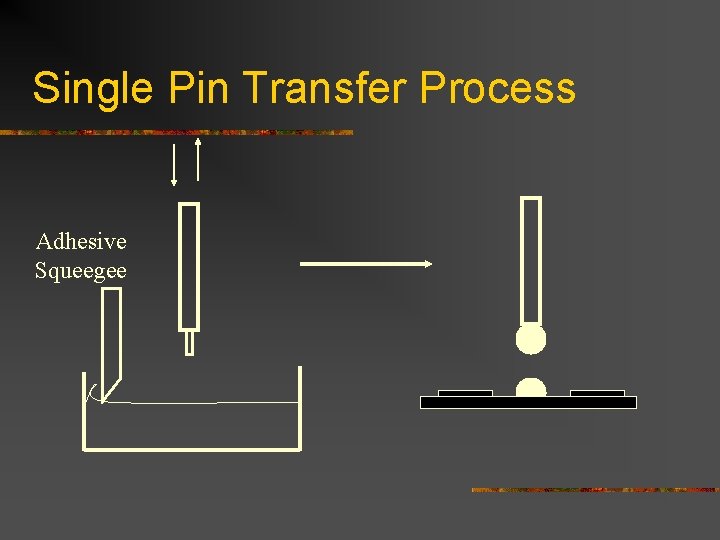 Single Pin Transfer Process Adhesive Squeegee Single Pin Transfer Process Adhesive Squeegee