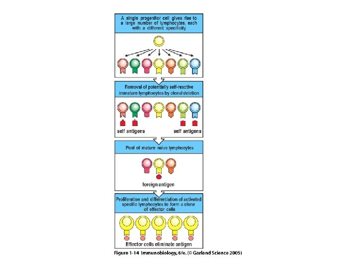 Figure 1 -14 