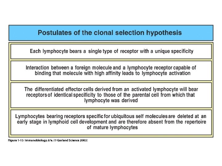 Figure 1 -15 