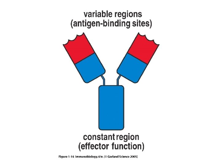 Figure 1 -16 