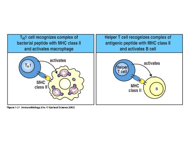 Figure 1 -31 