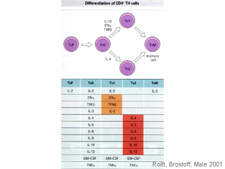 Roitt, Brostoff, Male 2001 