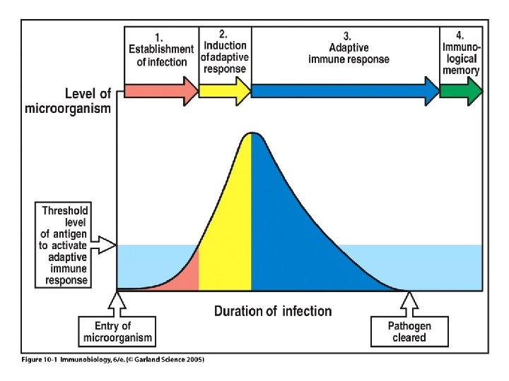 Figure 10 -1 