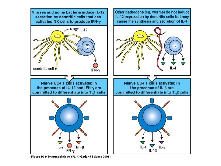 Figure 10 -9 