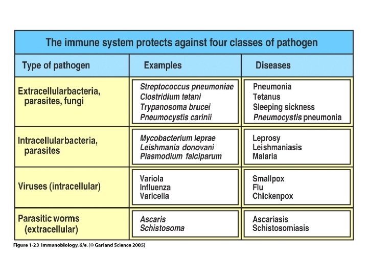 Figure 1 -23 