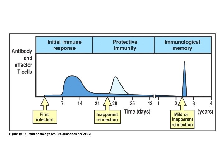 Figure 10 -18 