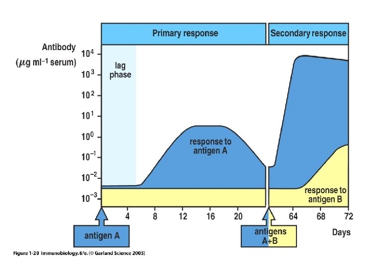 Figure 1 -20 