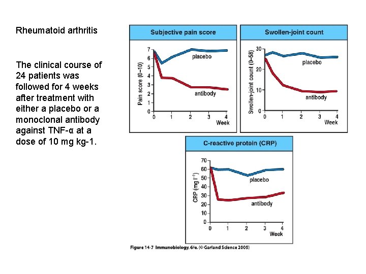 Rheumatoid arthritis The clinical course of 24 patients was followed for 4 weeks after