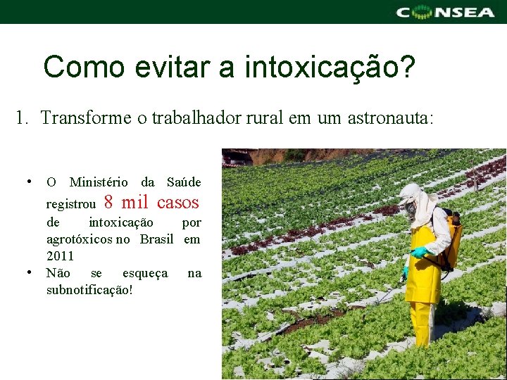 Como evitar a intoxicação? 1. Transforme o trabalhador rural em um astronauta: • •