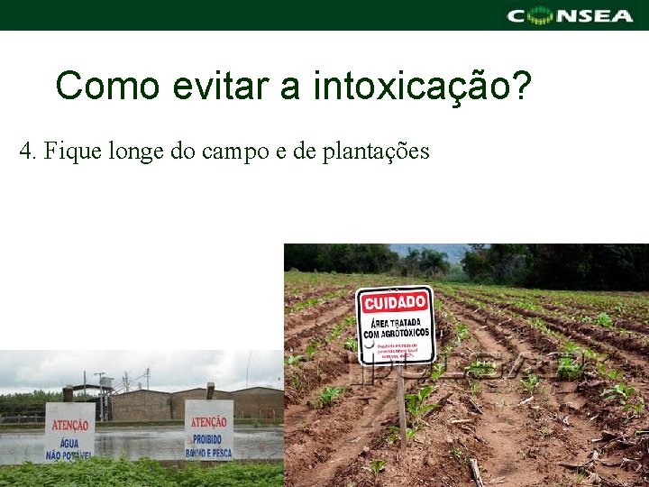 Como evitar a intoxicação? 4. Fique longe do campo e de plantações 