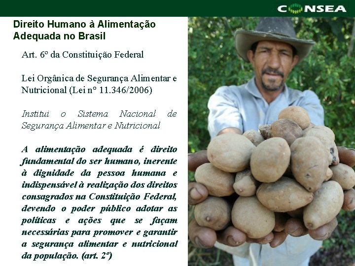 Direito Humano à Alimentação Adequada no Brasil Art. 6º da Constituição Federal Lei Orgânica