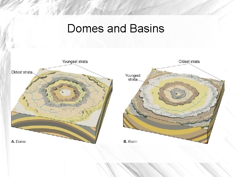 Domes and Basins 