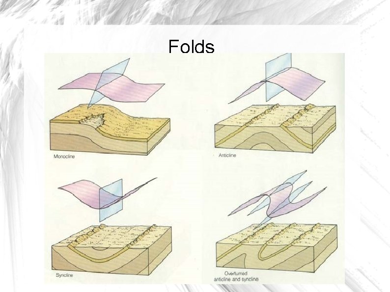 Folds 