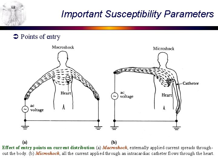 Important Susceptibility Parameters Ü Points of entry Effect of entry points on current distribution