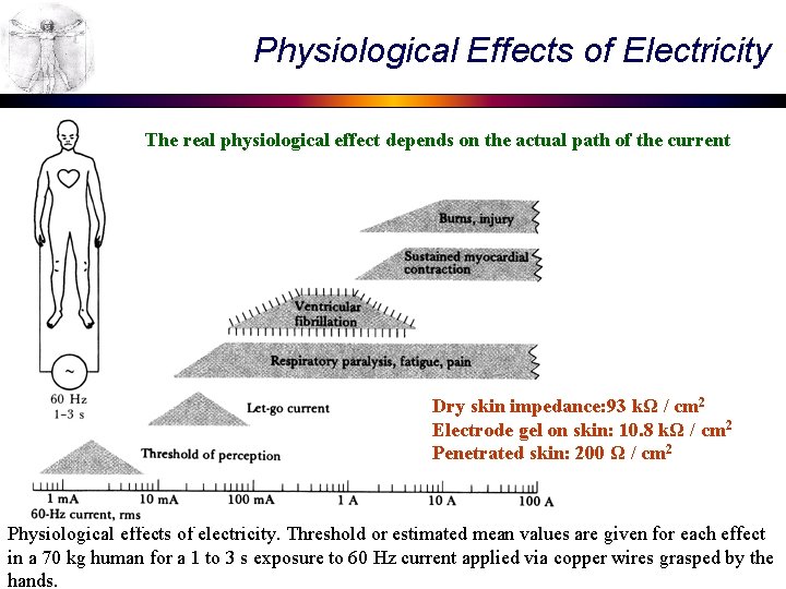 Physiological Effects of Electricity The real physiological effect depends on the actual path of